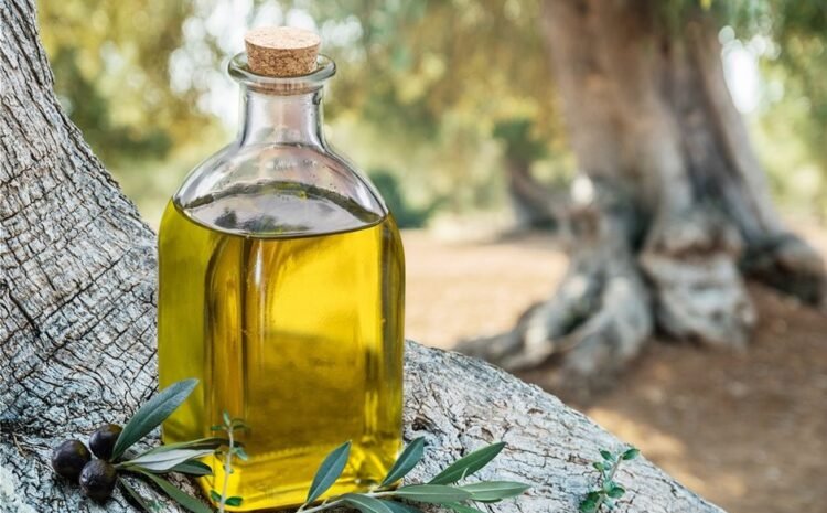 Ημερίδα με επίκεντρο το ελαιόλαδο ΠΓΕ «Κρήτη/Κriti»
